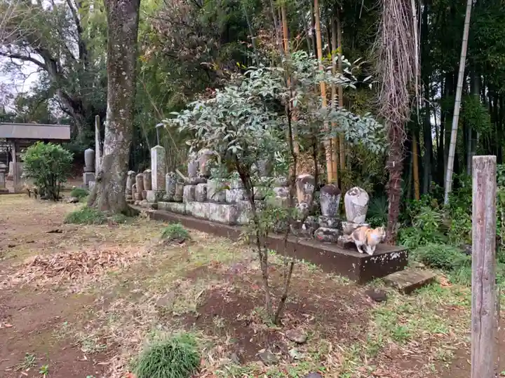 円天寺(千葉県)