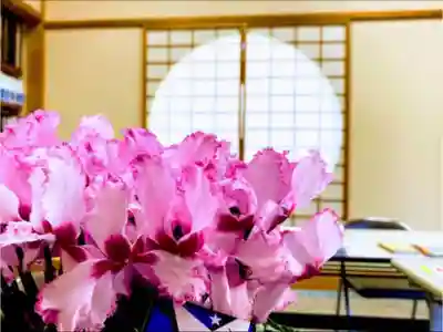 徳蔵院(千葉県)