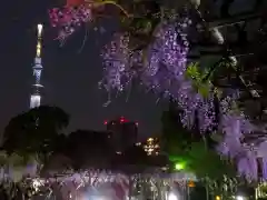 亀戸天神社の景色