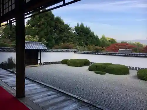 正伝護国禅寺(正伝寺･正傳寺)の庭園