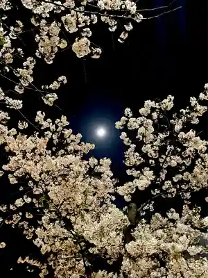 上目黒氷川神社(東京都)