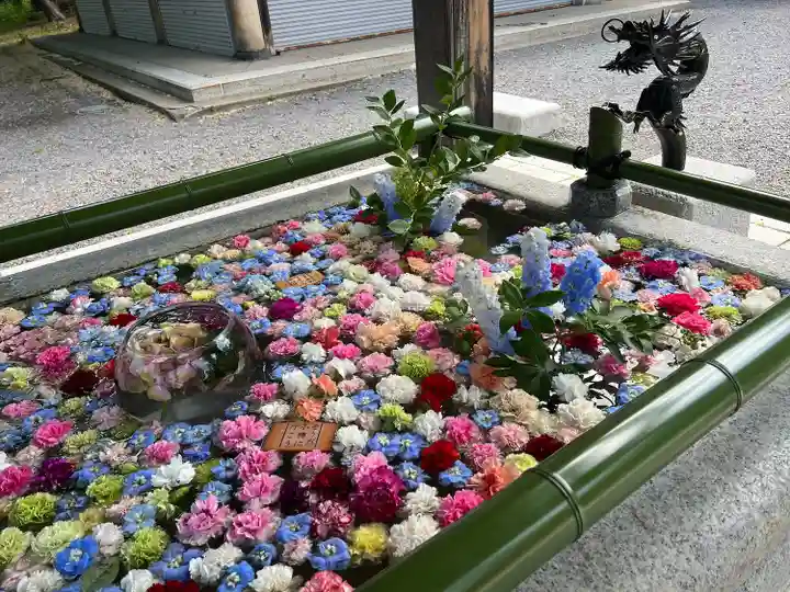 住吉神社の手水舎