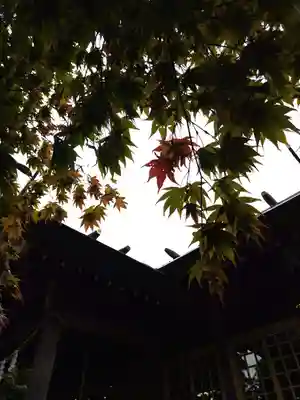 厚別神社(北海道)