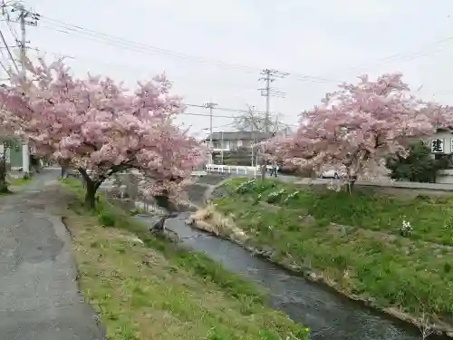 川越氷川神社の{uncategorized: "未分類", other: "その他", undefined: "問題あり", building: "その他建物", grave: "お墓", sacred_gate: "鳥居", guardian: "狛犬", statue: "像", buddha: "仏像", history: "歴史", nature: "自然", garden: "庭園", animal: "動物", pagoda: "塔", temizu: "手水舎", mountain_gate: "山門・神門", sanctuary: "本殿・本堂", subordinate: "末社・摂社", art: "芸術", scenery: "景色", jizo: "地蔵", ema: "絵馬", goshuin: "御朱印", omikuji: "おみくじ", items: "授与品その他", amulet: "お守り", goshuincho: "御朱印帳", eats: "食事", festival: "お祭り", votive_dance: "神楽", shichigosan: "七五三参", wedding: "結婚式", experience: "体験その他", initially: "初詣", around: "周辺", anti_infection: "感染症対策"}