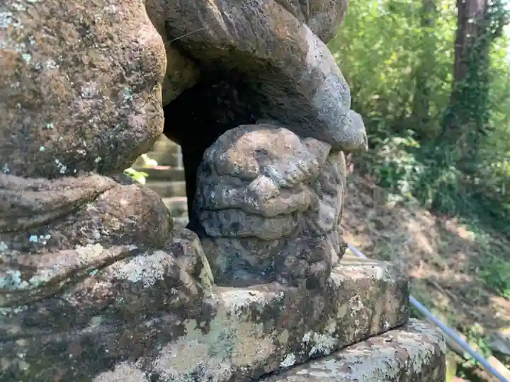 男金神社の狛犬