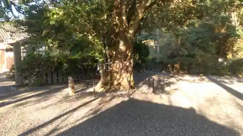 葛城神社妙見宮のその他建物