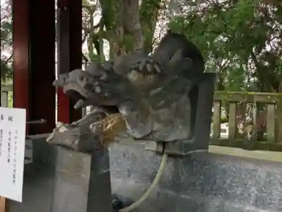 鹿児島神宮の手水舎