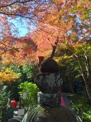 明月院(神奈川県)