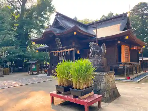 水戸八幡宮の本殿・本堂