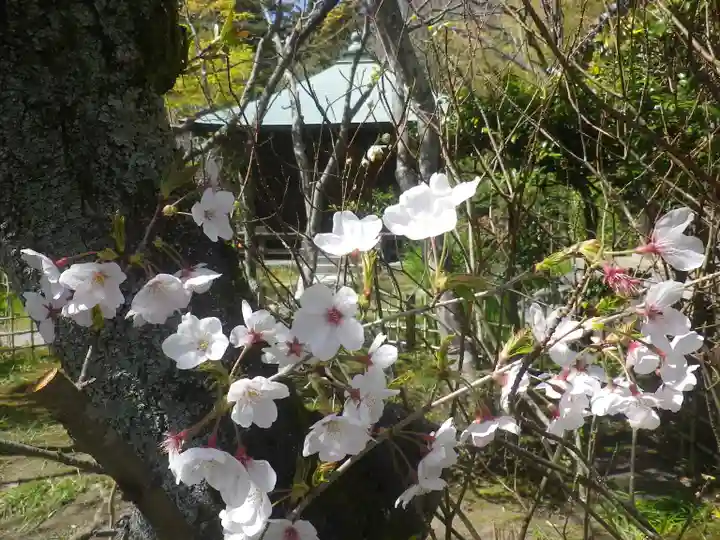 浄光明寺の自然