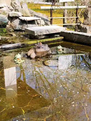 天龍寺の庭園