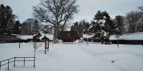 北海道護國神社の本殿・本堂