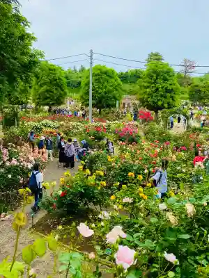白幡八幡大神(神奈川県)