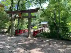 武蔵一宮氷川神社の鳥居