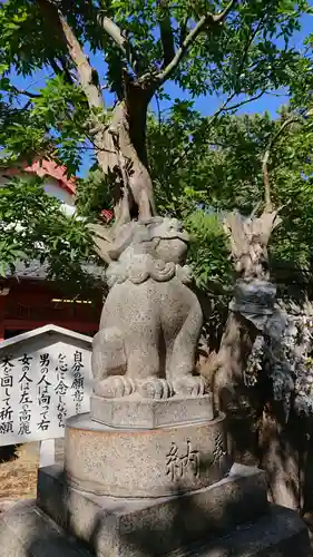 湊稲荷神社の狛犬