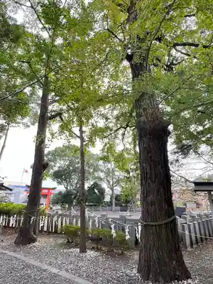 玉前神社(千葉県)