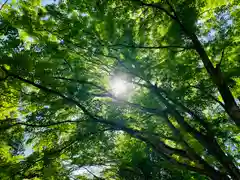 土津神社｜こどもと出世の神さまの自然