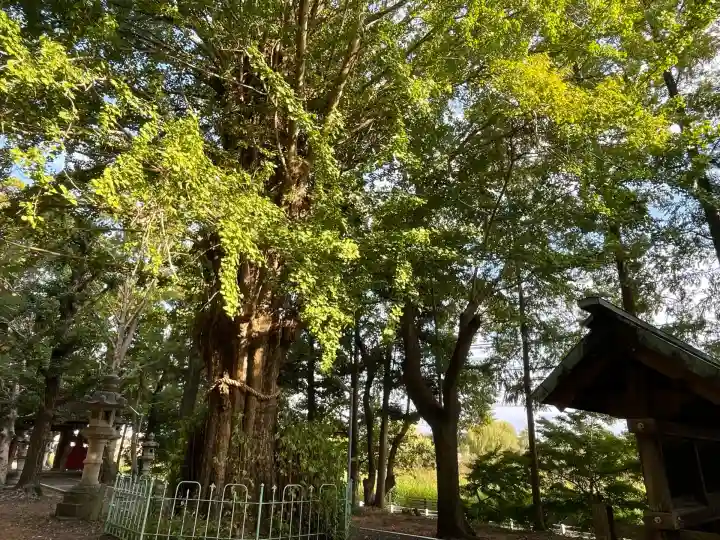 鞆江神社(明地)(愛知県)