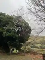 三浦正八幡宮(神奈川県)