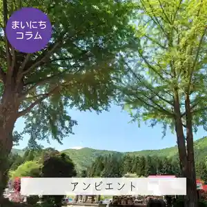壽徳寺 じゅとくじ(福島県)(2022年05月21日(土) 21時44分21秒投稿)