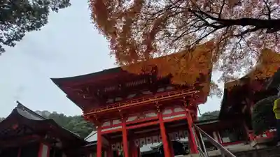 近江神宮(滋賀県)