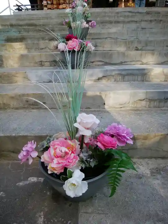 札幌諏訪神社の自然