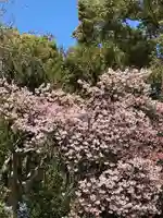 上野東照宮(東京都)