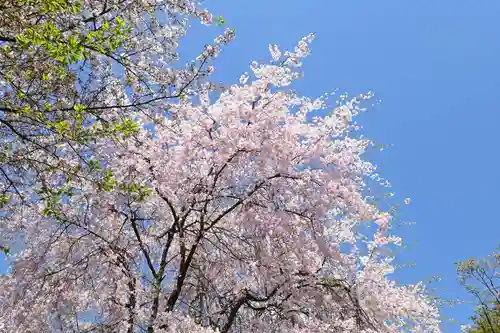 安倍文殊院 (奈良県)