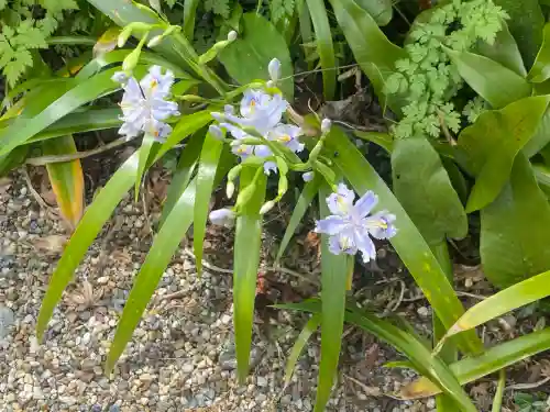 正暦寺の{uncategorized: "未分類", other: "その他", undefined: "問題あり", building: "その他建物", grave: "お墓", sacred_gate: "鳥居", guardian: "狛犬", statue: "像", buddha: "仏像", history: "歴史", nature: "自然", garden: "庭園", animal: "動物", pagoda: "塔", temizu: "手水舎", mountain_gate: "山門・神門", sanctuary: "本殿・本堂", subordinate: "末社・摂社", art: "芸術", scenery: "景色", jizo: "地蔵", ema: "絵馬", goshuin: "御朱印", omikuji: "おみくじ", items: "授与品その他", amulet: "お守り", goshuincho: "御朱印帳", eats: "食事", festival: "お祭り", votive_dance: "神楽", shichigosan: "七五三参", wedding: "結婚式", experience: "体験その他", initially: "初詣", around: "周辺", anti_infection: "感染症対策"}