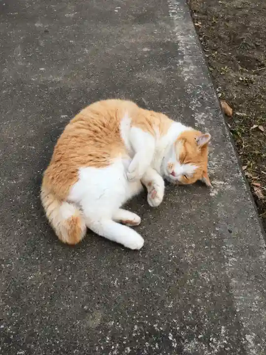 小内神社の動物