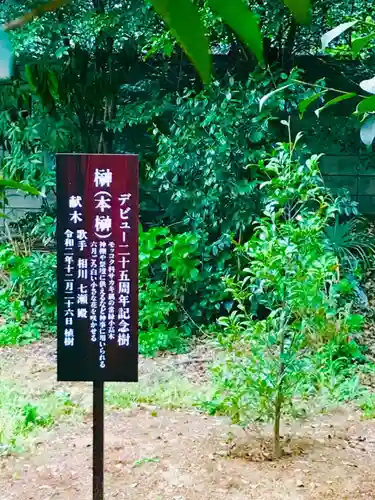 大宝八幡宮の歴史