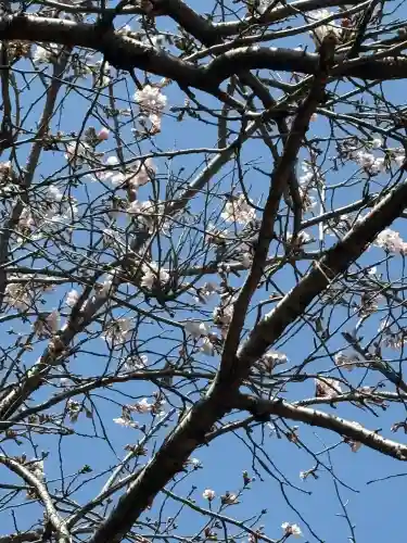 忠興八幡神社の{uncategorized: "未分類", other: "その他", undefined: "問題あり", building: "その他建物", grave: "お墓", sacred_gate: "鳥居", guardian: "狛犬", statue: "像", buddha: "仏像", history: "歴史", nature: "自然", garden: "庭園", animal: "動物", pagoda: "塔", temizu: "手水舎", mountain_gate: "山門・神門", sanctuary: "本殿・本堂", subordinate: "末社・摂社", art: "芸術", scenery: "景色", jizo: "地蔵", ema: "絵馬", goshuin: "御朱印", omikuji: "おみくじ", items: "授与品その他", amulet: "お守り", goshuincho: "御朱印帳", eats: "食事", festival: "お祭り", votive_dance: "神楽", shichigosan: "七五三参", wedding: "結婚式", experience: "体験その他", initially: "初詣", around: "周辺", anti_infection: "感染症対策"}