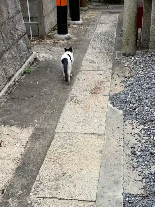 明竹稲荷宮 腰神不動神社の動物