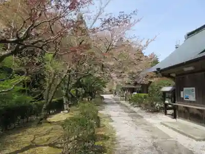 太龍寺(徳島県)
