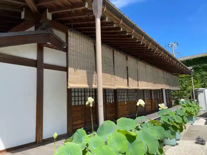長徳寺(兵庫県)