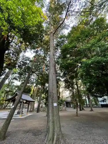 布多天神社の自然