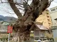 住吉神社(彌彦神社境外末社)のその他建物