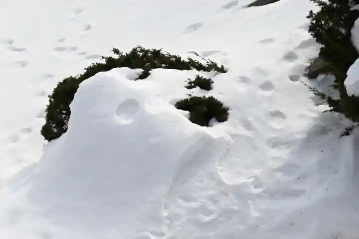 宝光寺(北海道)