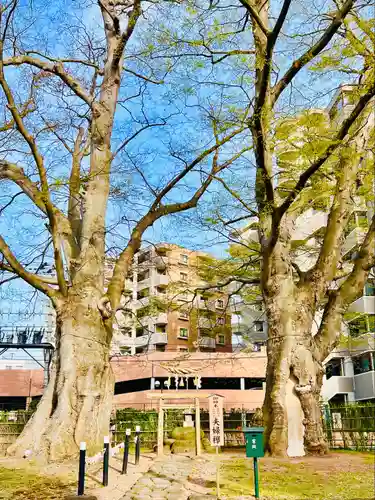 熊野神社(山形県)