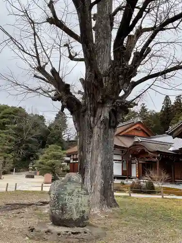永保寺(岐阜県)