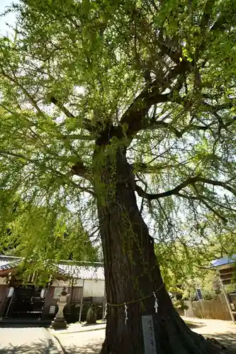 丹生酒殿神社(和歌山県)