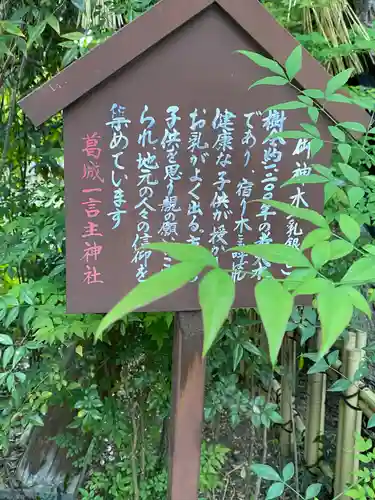 葛城一言主神社(奈良県)