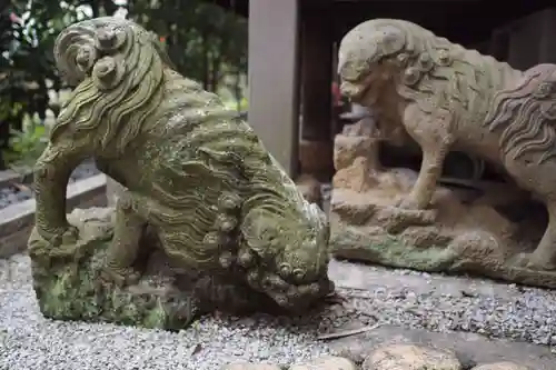 清林寺の狛犬