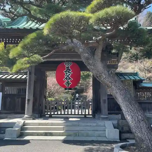 長谷寺の山門・神門
