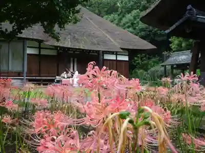 横浜 西方寺の本殿・本堂