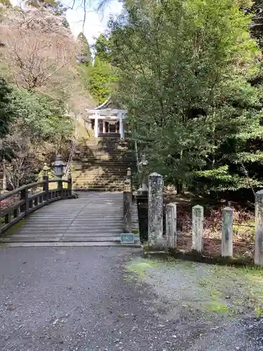 国造神社の鳥居