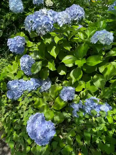 高麗神社(埼玉県)