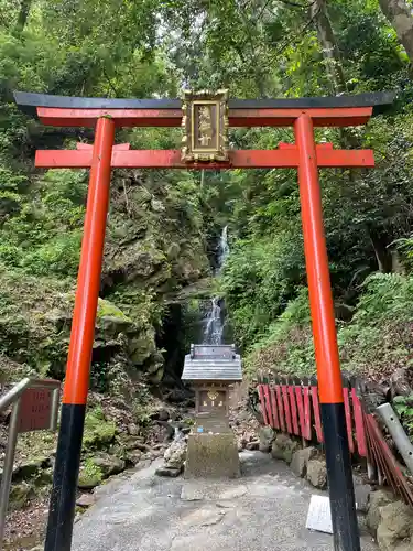 松尾大社の鳥居