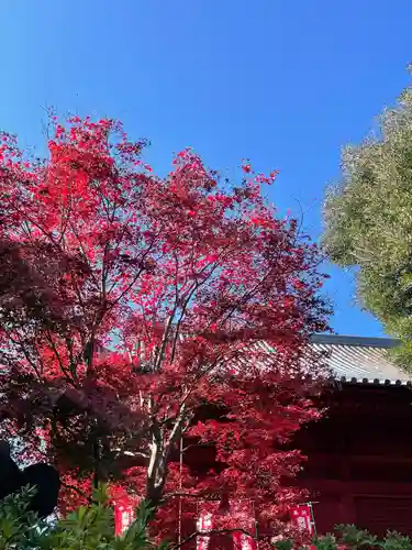 清水観音堂の庭園