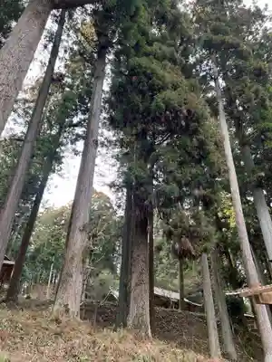 大宮温泉神社(栃木県)